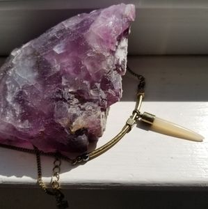 Horn pendant necklace